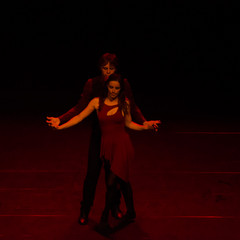 d7k_0547_carrysize_cr_44459914924_o.jpg